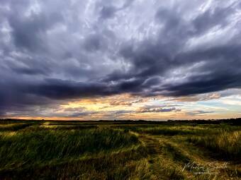 Sunset over the reed beds