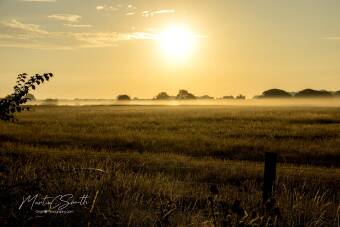 Morning Mist