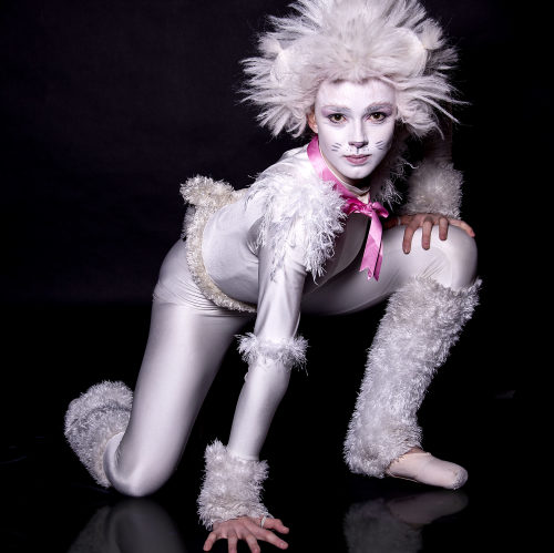 Cats - promotional shoot